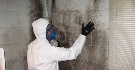 ���������� ������ WBC ���������